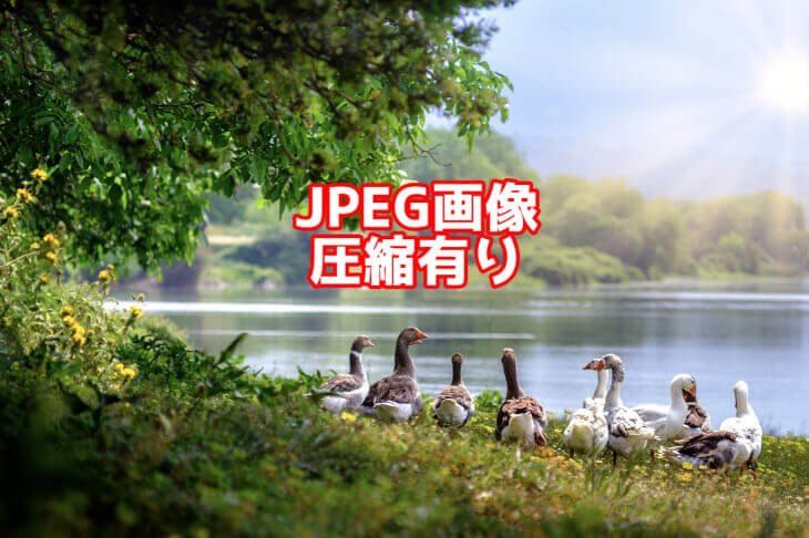 jpeg圧縮なし